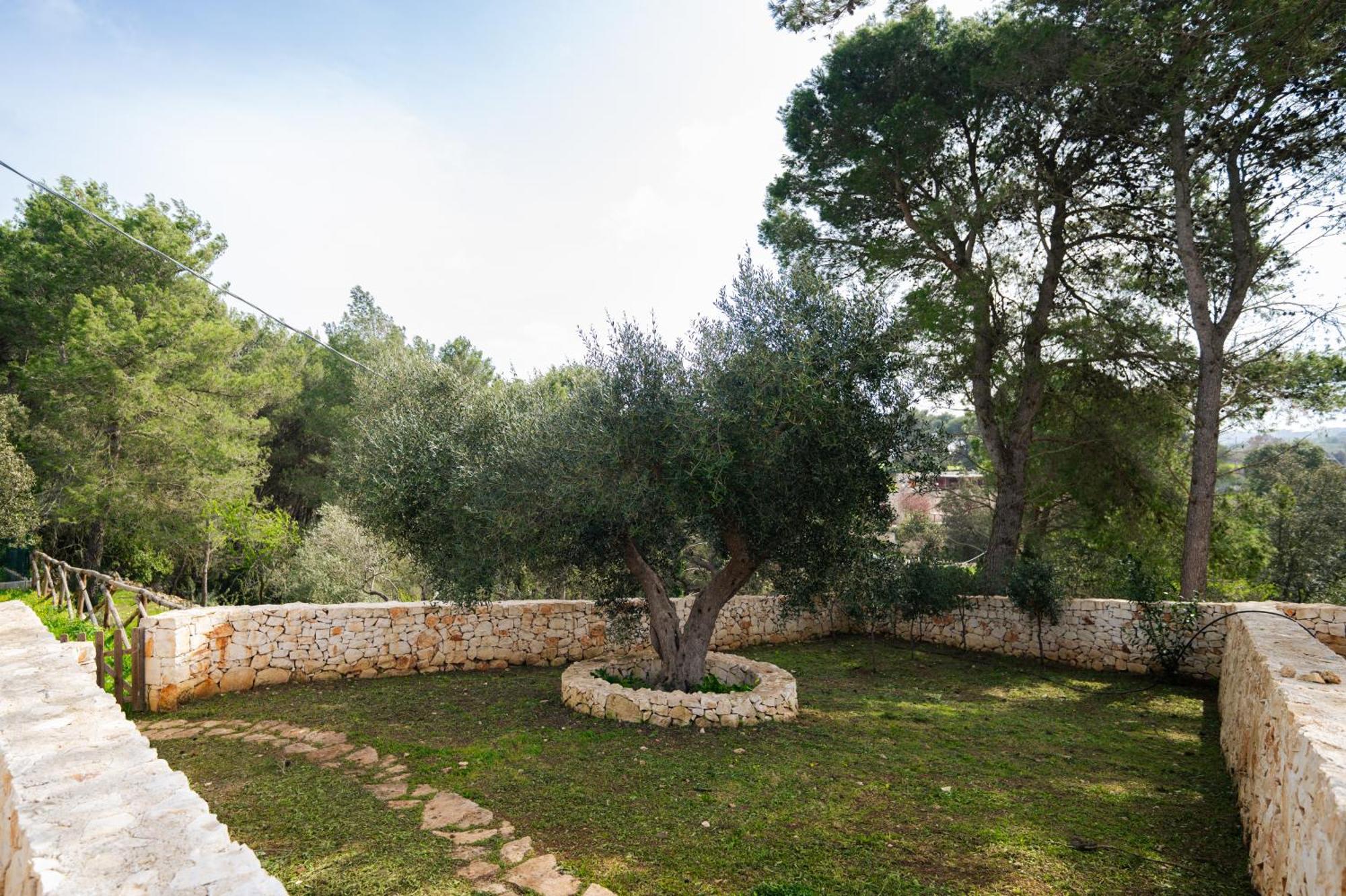 Trulli Magda Villa Martina Franca Exterior photo